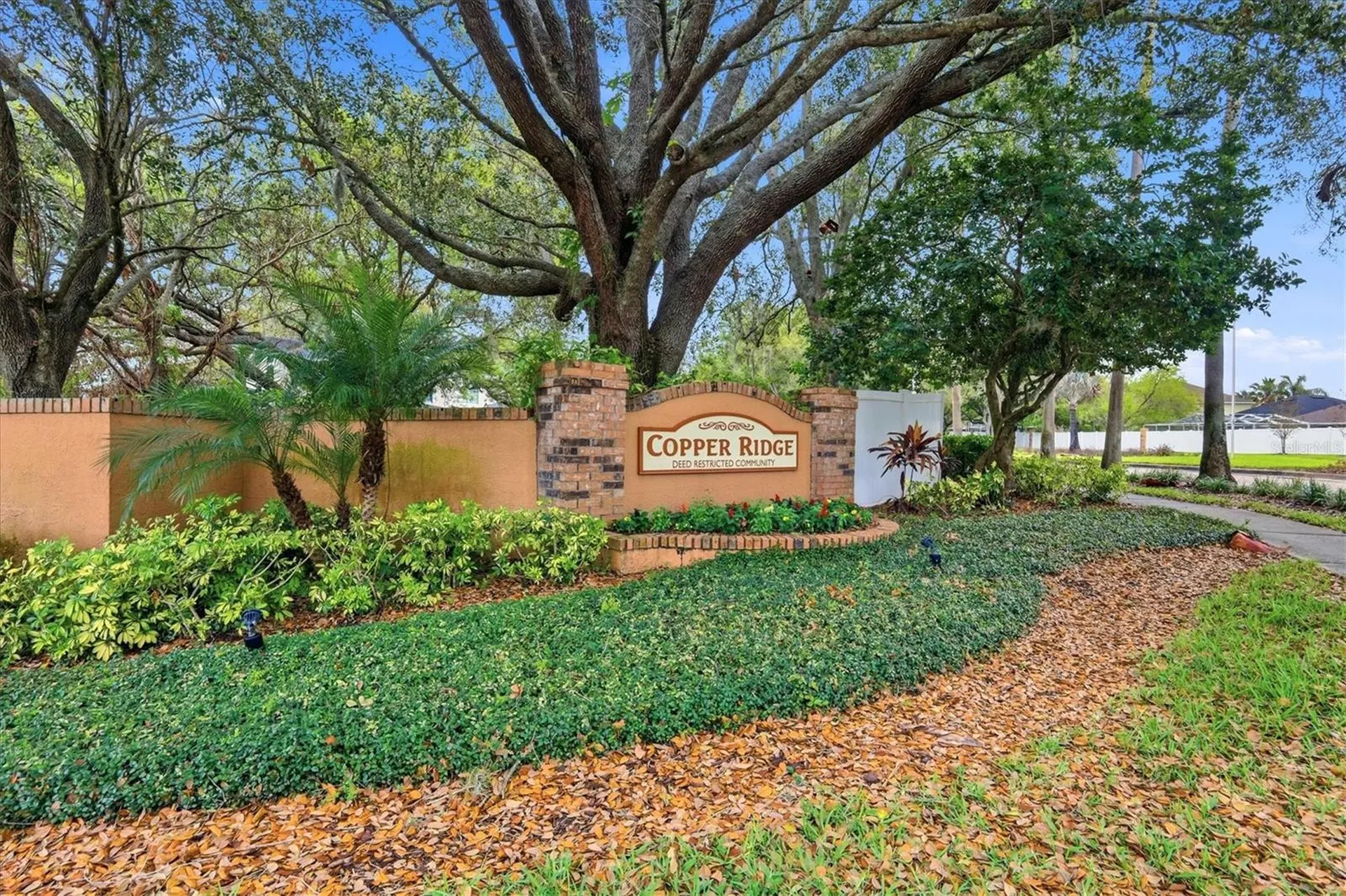 919 Grand Canyon Drive Valrico FL 33594