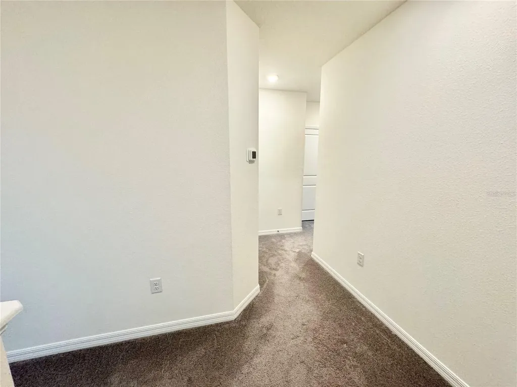 1610 Colt Creek Place Wesley Chapel FL 33543