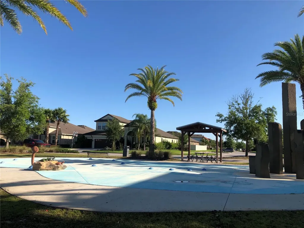 1610 Colt Creek Place Wesley Chapel FL 33543