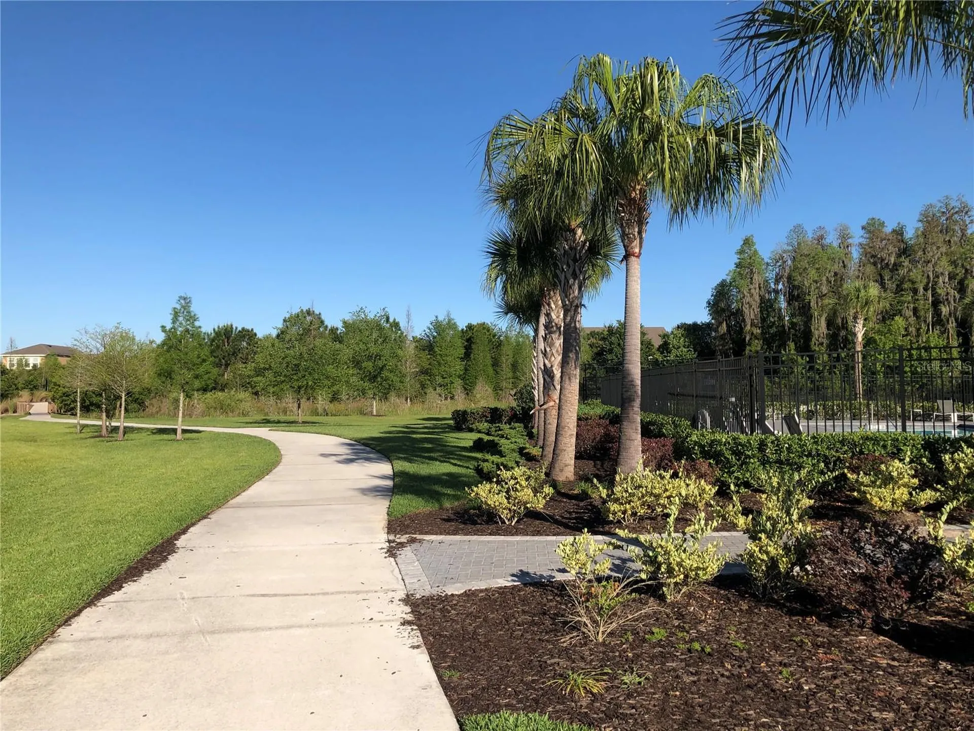 1610 Colt Creek Place Wesley Chapel FL 33543