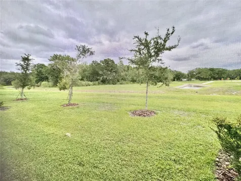 1610 Colt Creek Place Wesley Chapel FL 33543