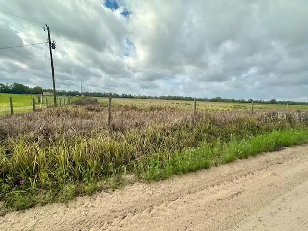 SW 80th Street Trenton FL 32693