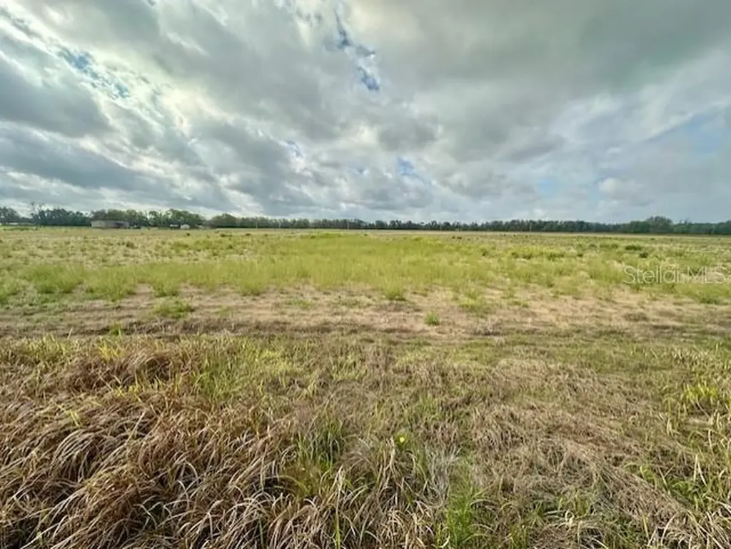 SW 80th Street Trenton FL 32693