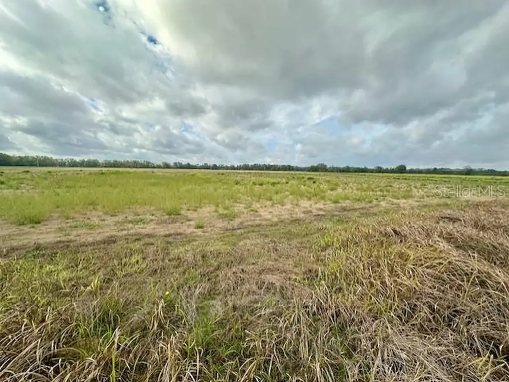 SW 80th Street Trenton FL 32693