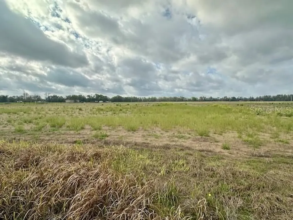 SW 80th Street Trenton FL 32693