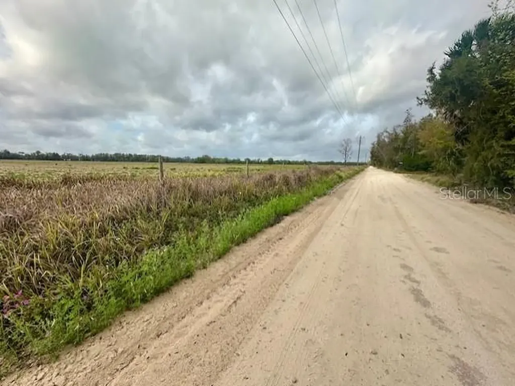 SW 80th Street Trenton FL 32693