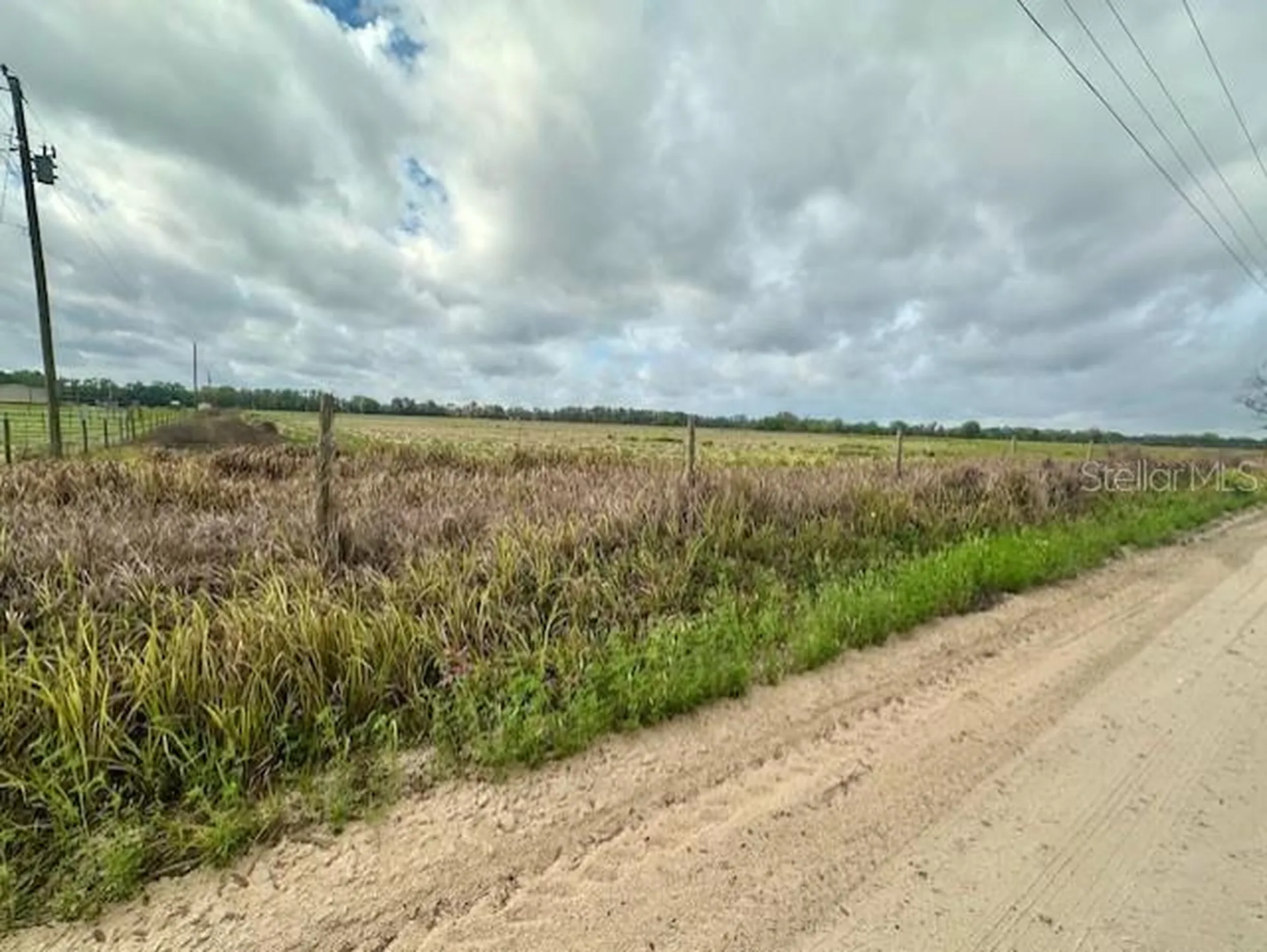 SW 80th Street Trenton FL 32693