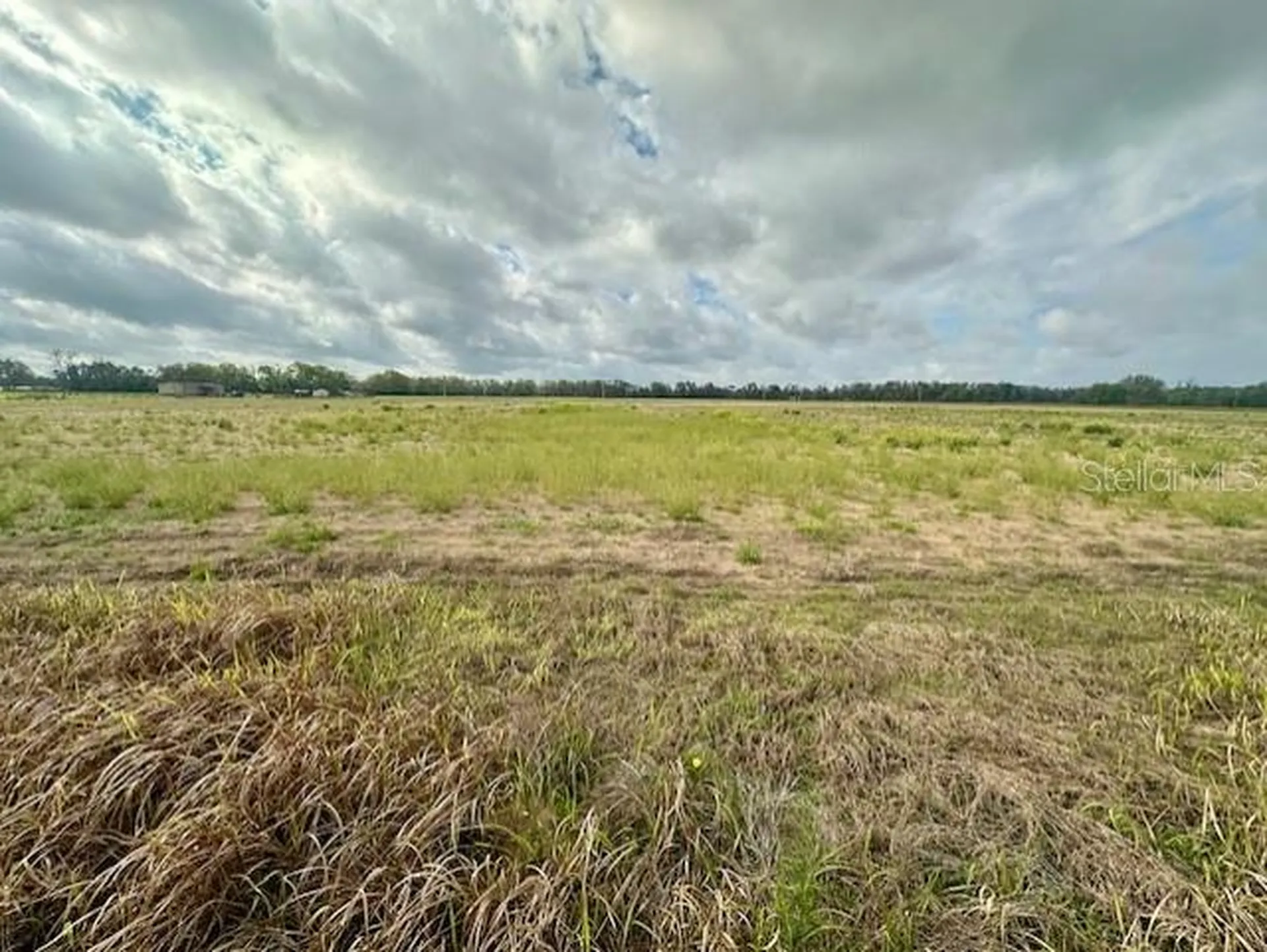 SW 80th Street Trenton FL 32693