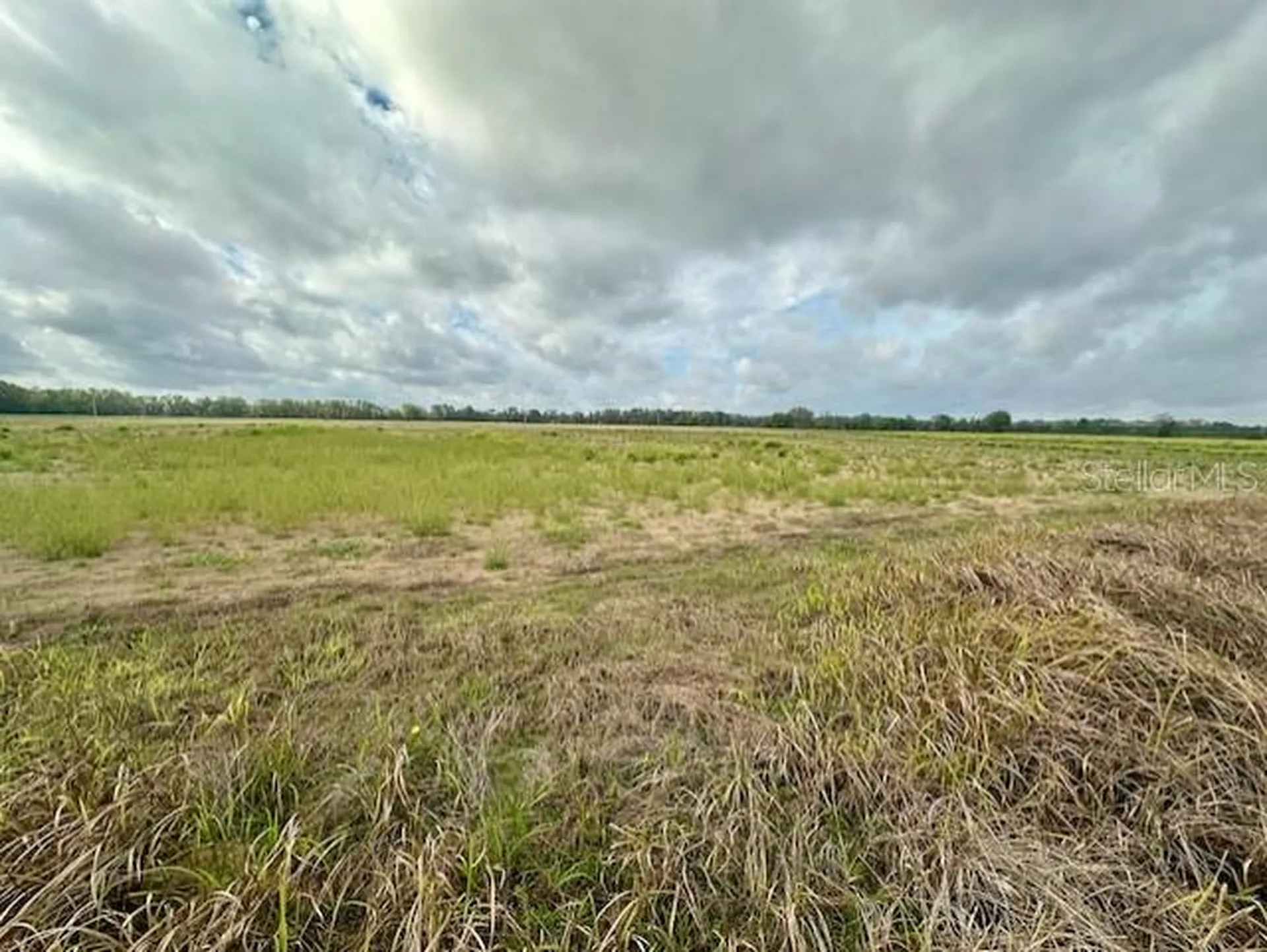 SW 80th Street Trenton FL 32693