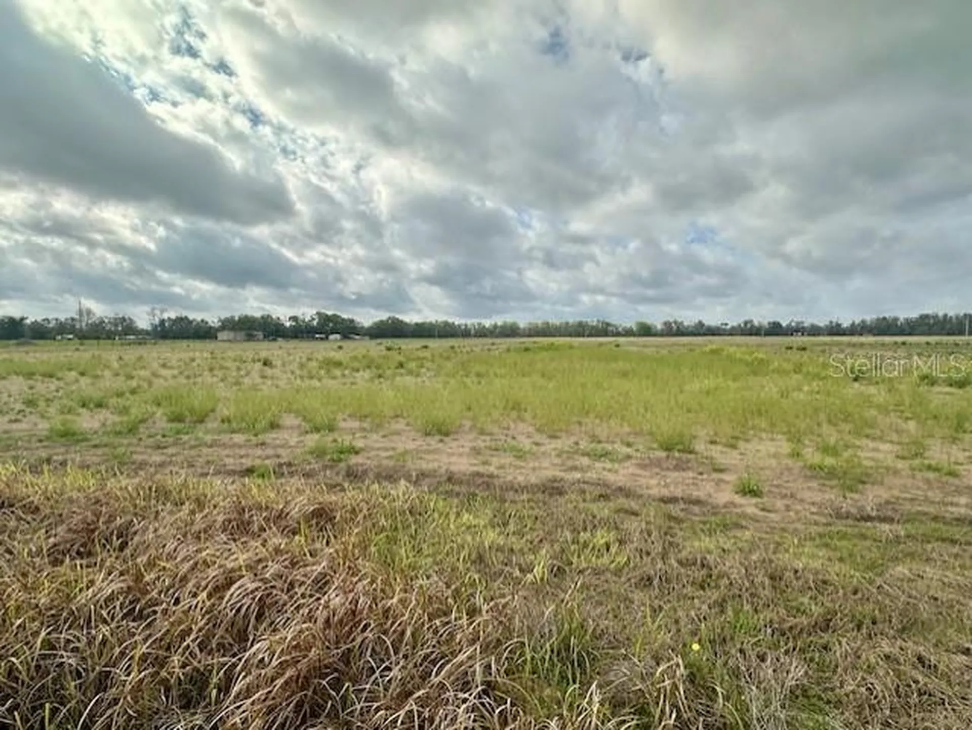 SW 80th Street Trenton FL 32693