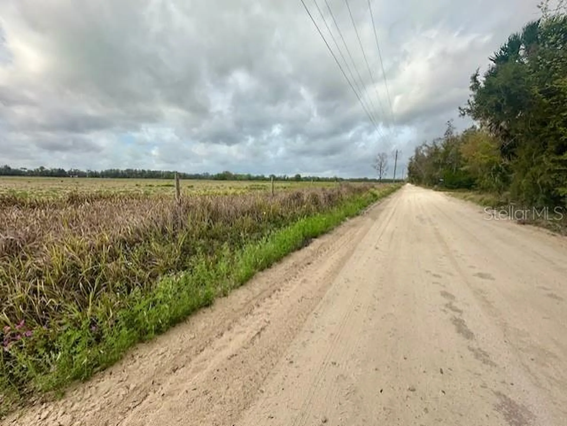 SW 80th Street Trenton FL 32693
