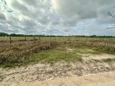 SW 80th Street Trenton FL 32693