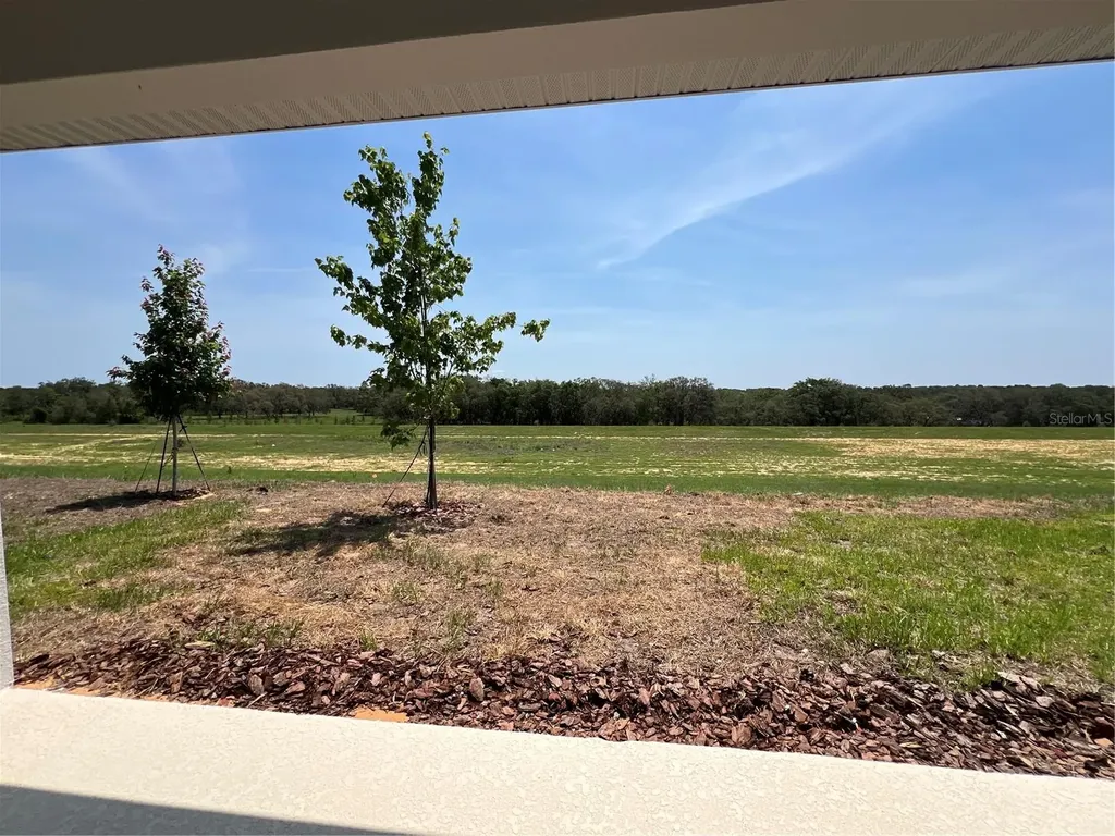 2260 Keystone Pass Boulevard Minneola FL 34715