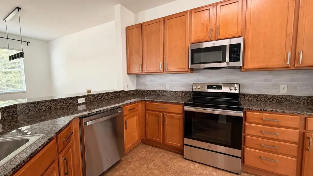 3048 Chessington Drive Land O Lakes FL 34638