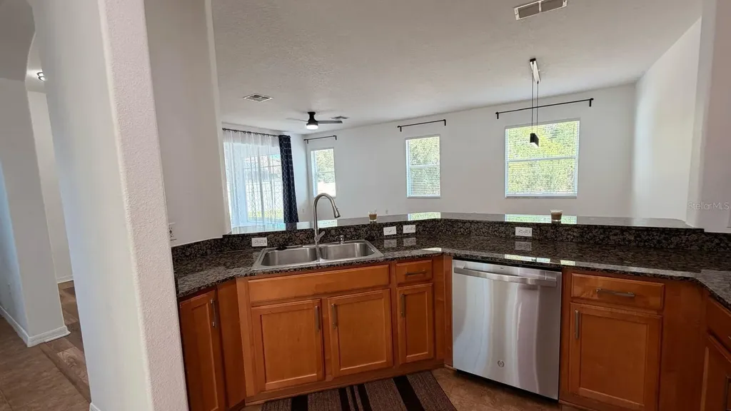 3048 Chessington Drive Land O Lakes FL 34638