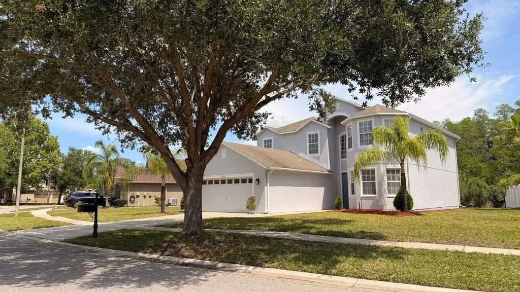 3048 Chessington Drive Land O Lakes FL 34638