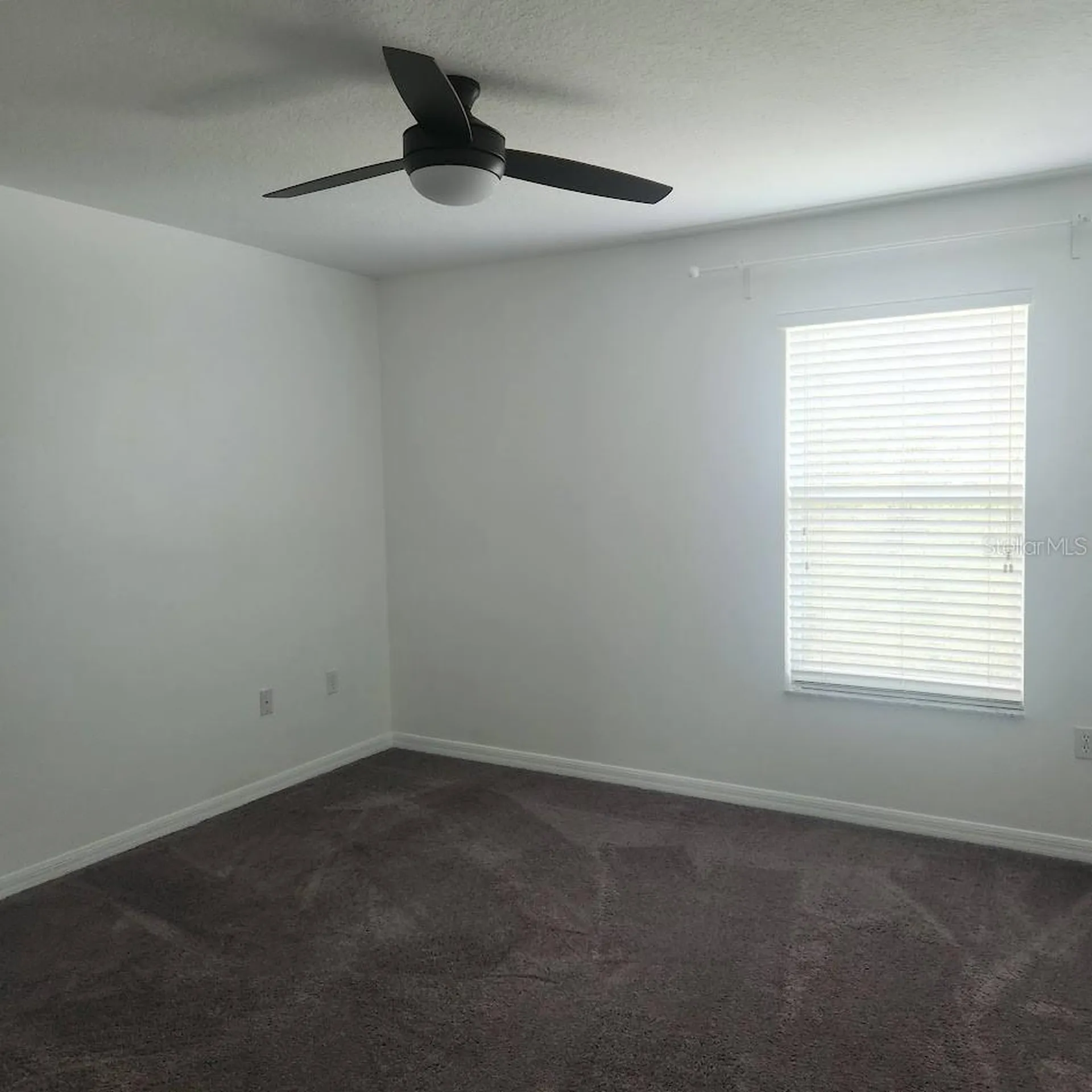 3048 Chessington Drive Land O Lakes FL 34638