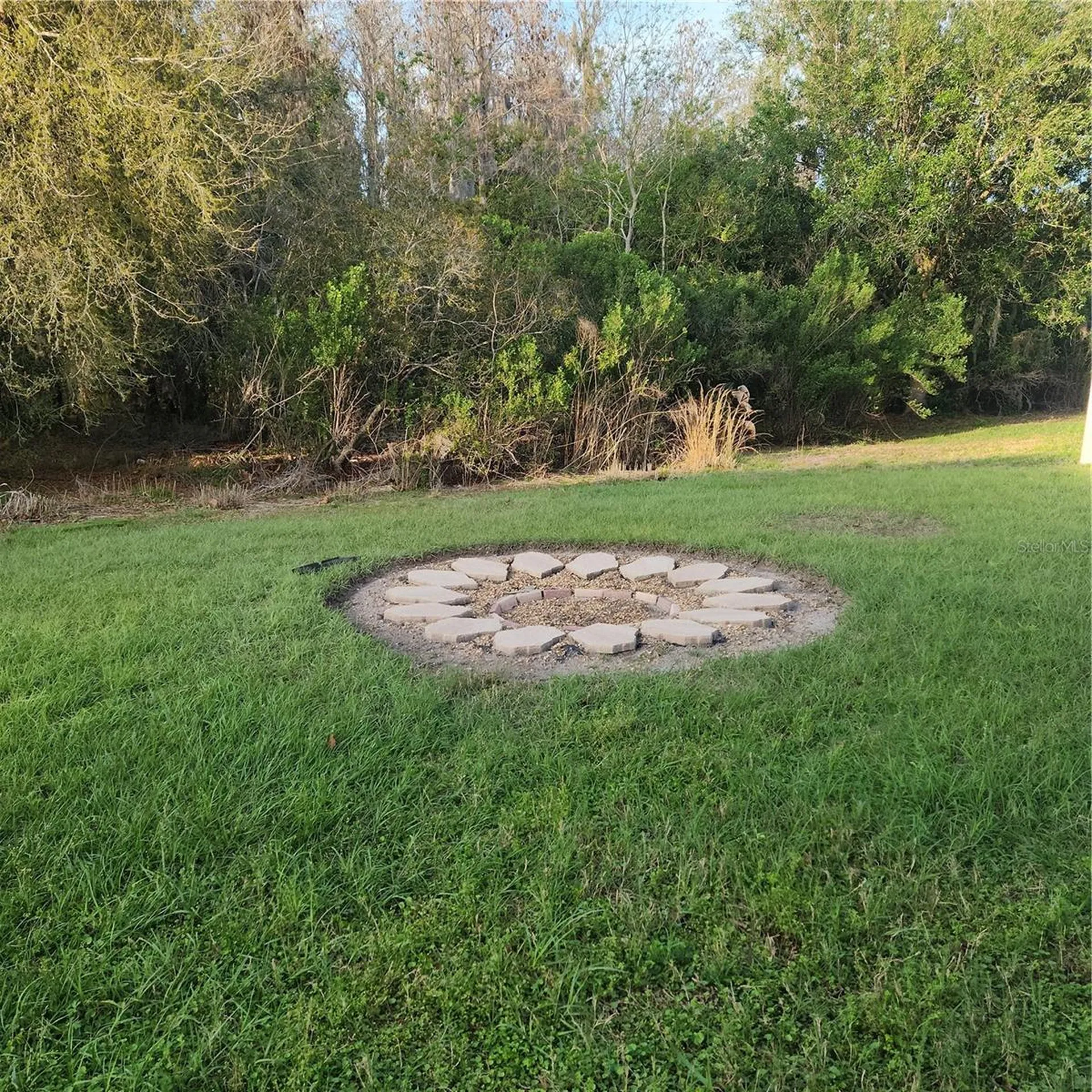 3048 Chessington Drive Land O Lakes FL 34638
