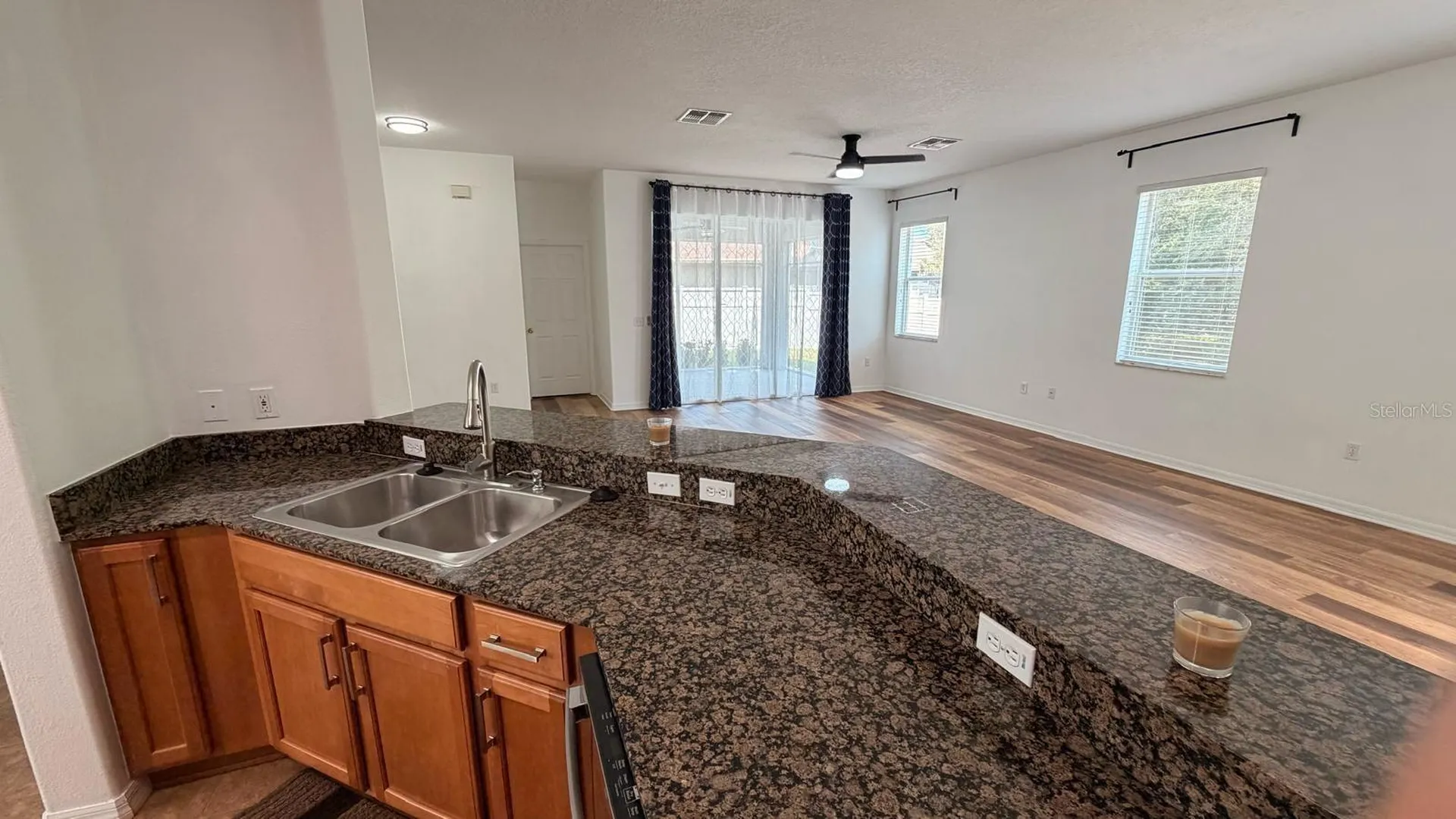 3048 Chessington Drive Land O Lakes FL 34638