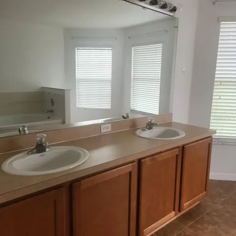 3048 Chessington Drive Land O Lakes FL 34638