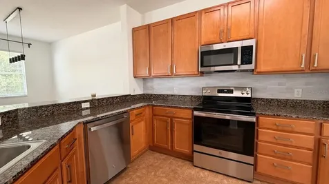 3048 Chessington Drive Land O Lakes FL 34638