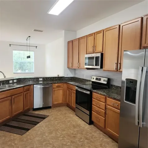 3048 Chessington Drive Land O Lakes FL 34638