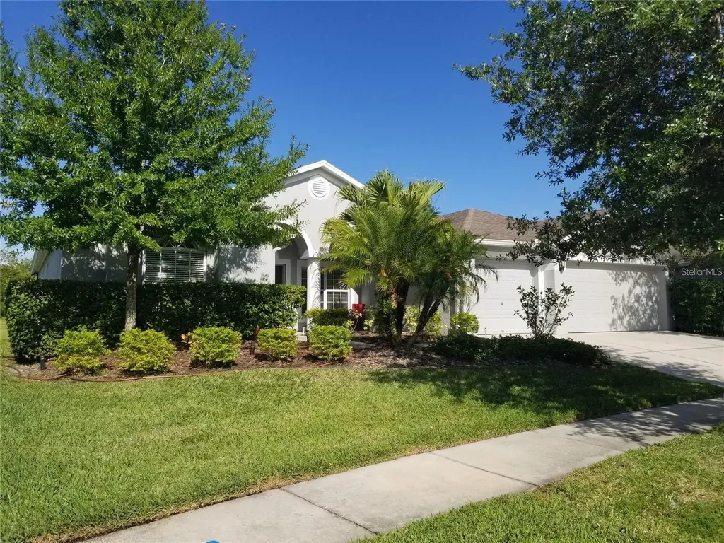 6218 Bridgevista Drive Lithia FL 33547