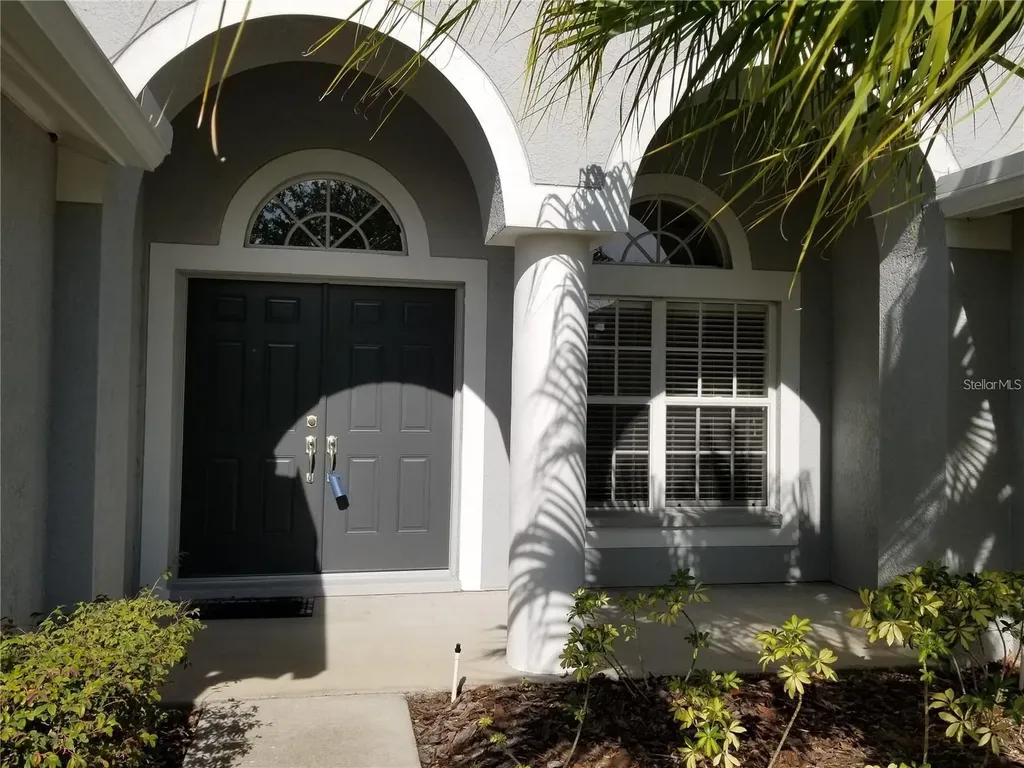6218 Bridgevista Drive Lithia FL 33547