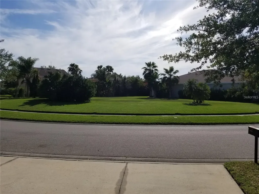 6218 Bridgevista Drive Lithia FL 33547