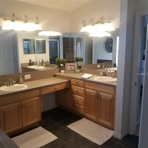 6218 Bridgevista Drive Lithia FL 33547