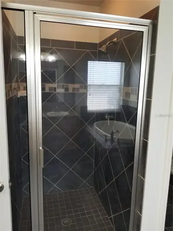 6218 Bridgevista Drive Lithia FL 33547