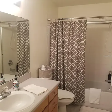 6218 Bridgevista Drive Lithia FL 33547