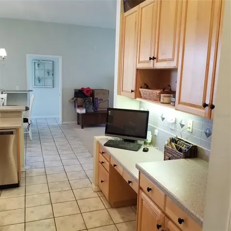 6218 Bridgevista Drive Lithia FL 33547
