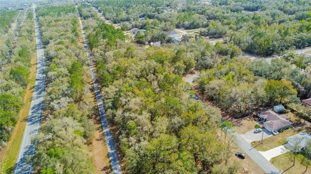 8743 N Sandree Drive Citrus Springs FL 34434
