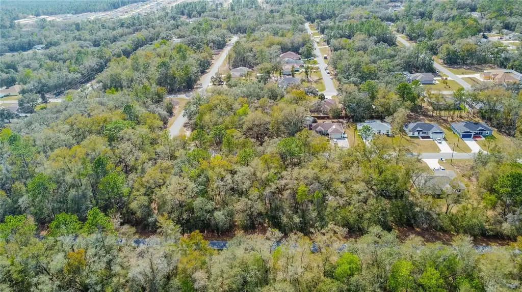8743 N Sandree Drive Citrus Springs FL 34434