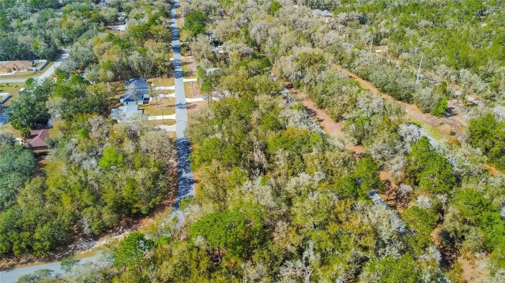 8743 N Sandree Drive Citrus Springs FL 34434