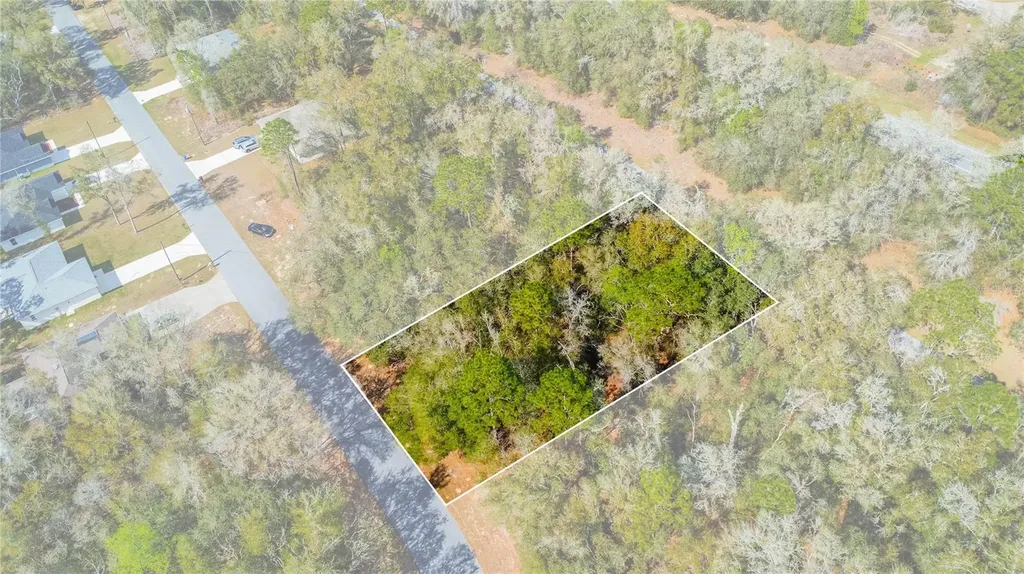 8743 N Sandree Drive Citrus Springs FL 34434