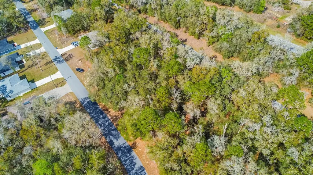 8743 N Sandree Drive Citrus Springs FL 34434