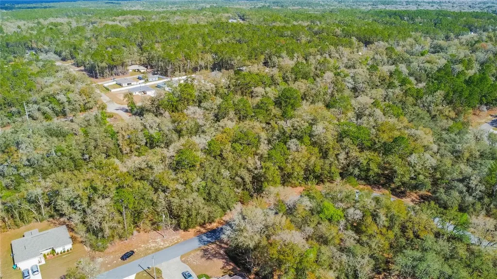 8743 N Sandree Drive Citrus Springs FL 34434