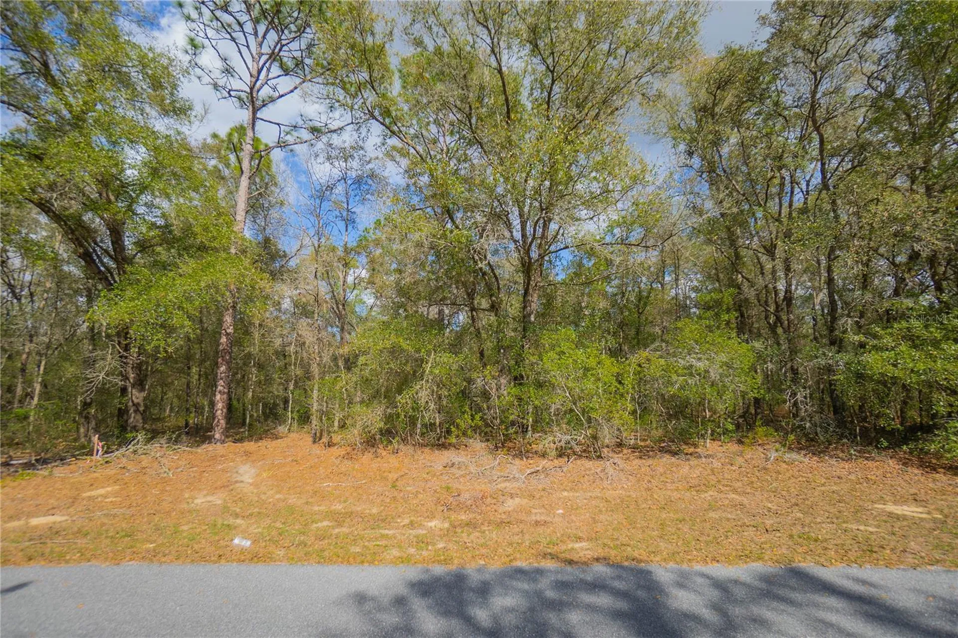 8743 N Sandree Drive Citrus Springs FL 34434