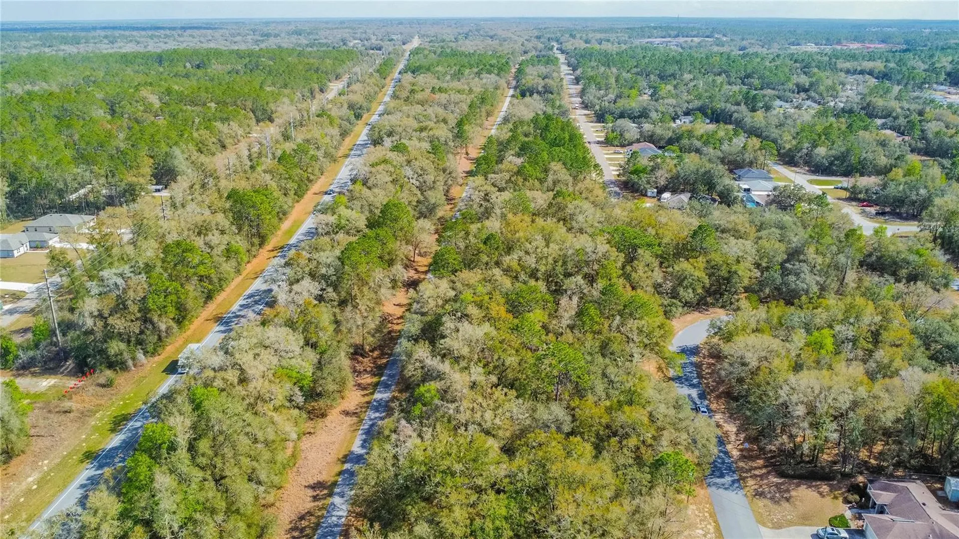 8743 N Sandree Drive Citrus Springs FL 34434