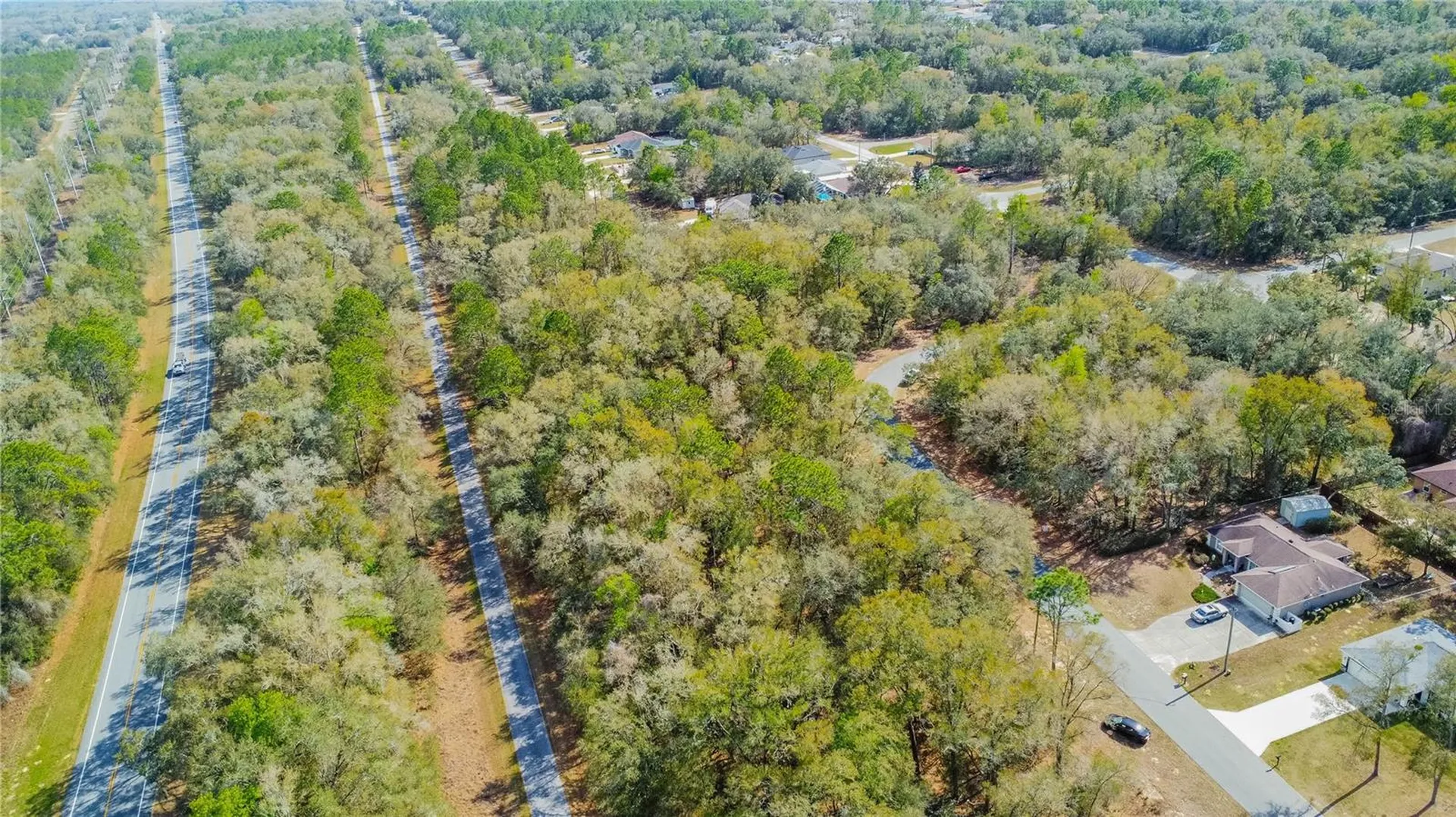 8743 N Sandree Drive Citrus Springs FL 34434