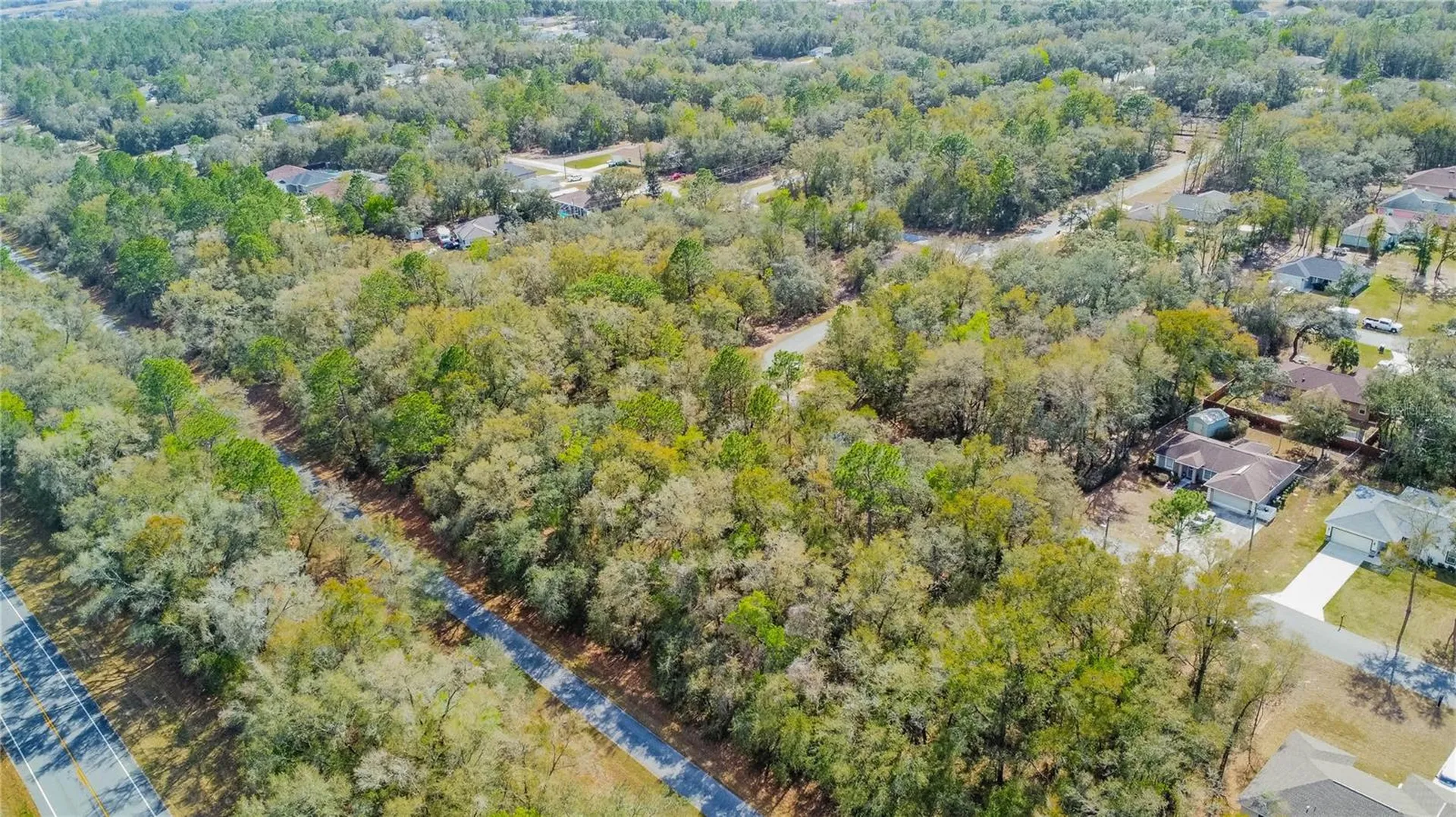 8743 N Sandree Drive Citrus Springs FL 34434