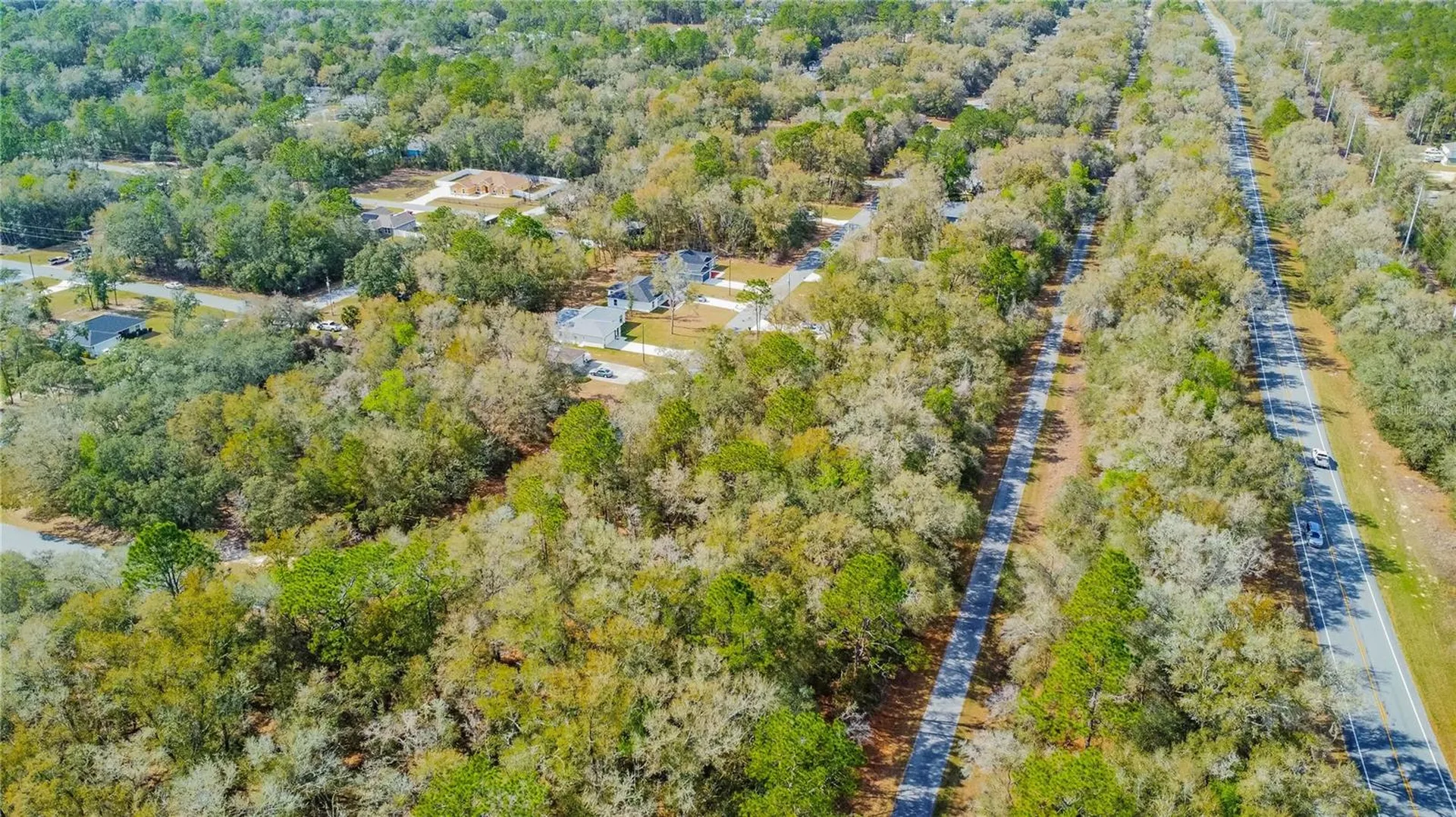 8743 N Sandree Drive Citrus Springs FL 34434