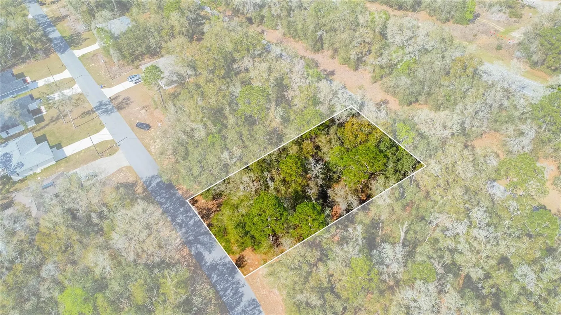 8743 N Sandree Drive Citrus Springs FL 34434