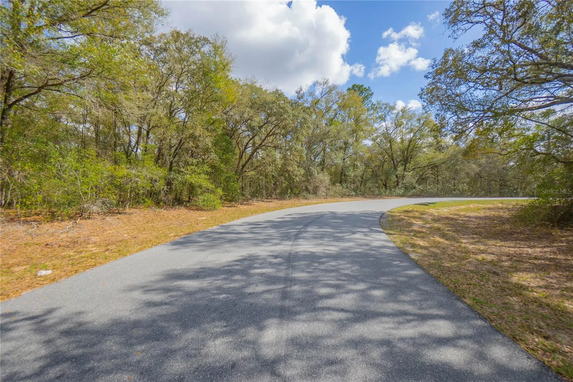 8743 N Sandree Drive Citrus Springs FL 34434