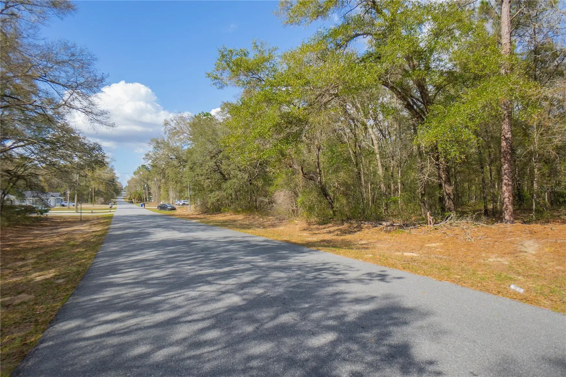 8743 N Sandree Drive Citrus Springs FL 34434