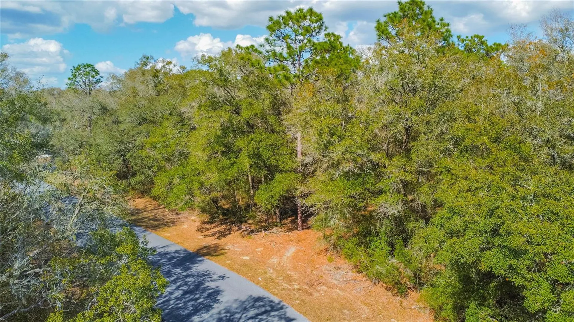 8743 N Sandree Drive Citrus Springs FL 34434