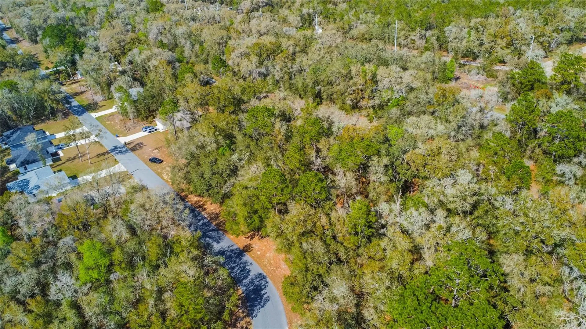 8743 N Sandree Drive Citrus Springs FL 34434