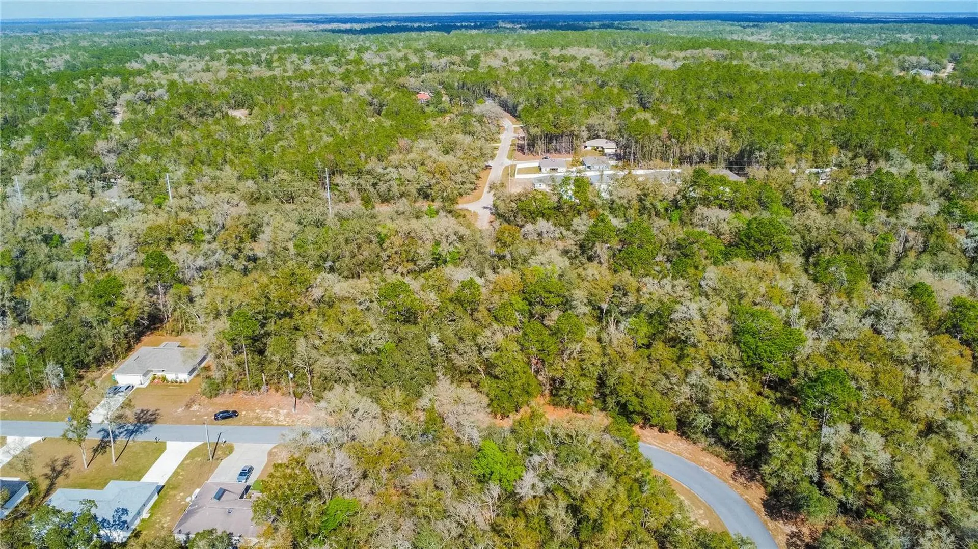 8743 N Sandree Drive Citrus Springs FL 34434